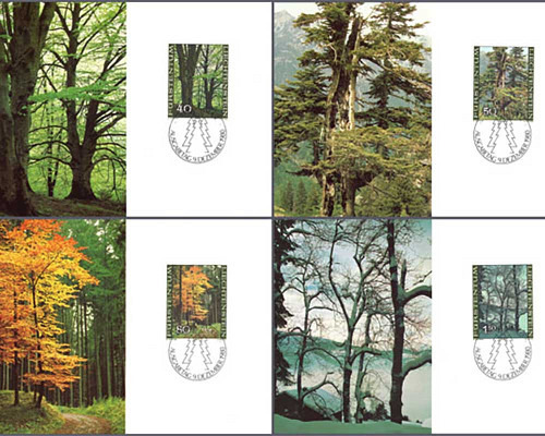 The forest in the four seasons