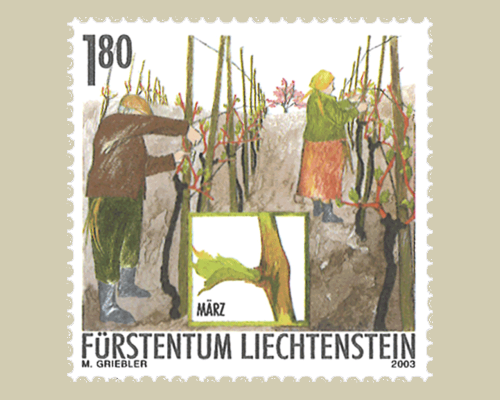 Das Jahr des Winzers: Winzerarbeit im Fr