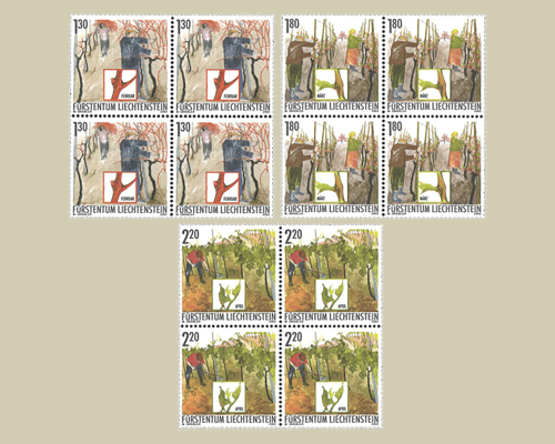 Das Jahr des Winzers: Winzerarbeit im Fr