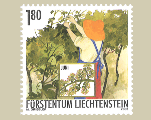 Das Jahr des Winzers: Winzerarbeit im So