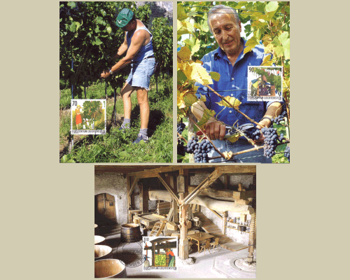 Das Jahr des Winzers: Winzerarbeit im He