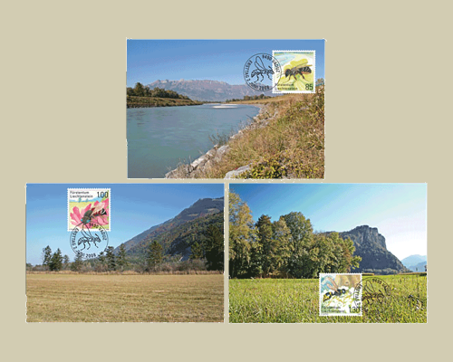 Rare bees and wasps in Liechtenstein