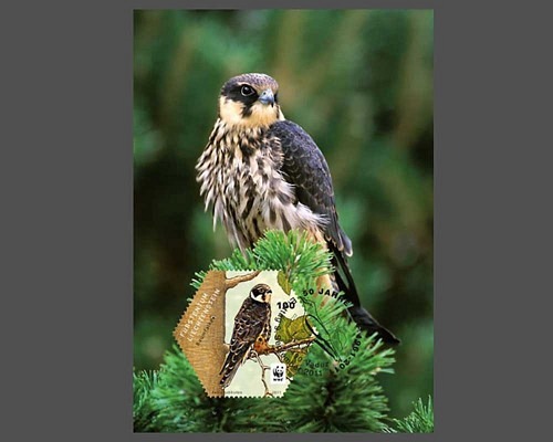 Bedrohte Vogelarten in Liechtenstein WWF