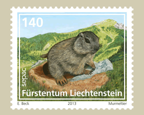 Young animals of the Alpine region