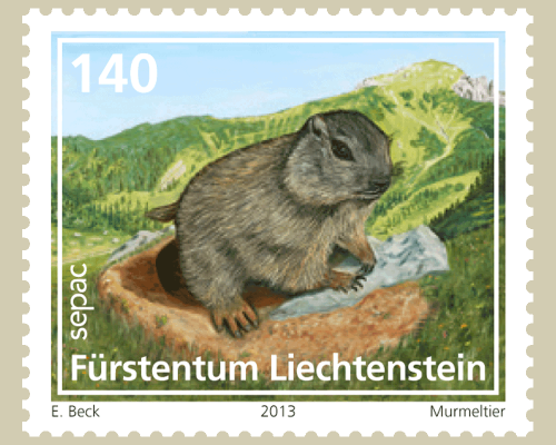 Young animals of the Alpine region