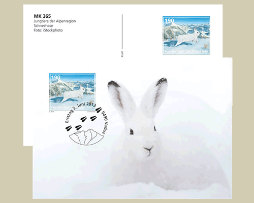 Bildpostkarte: Jungtiere der Alpenregion