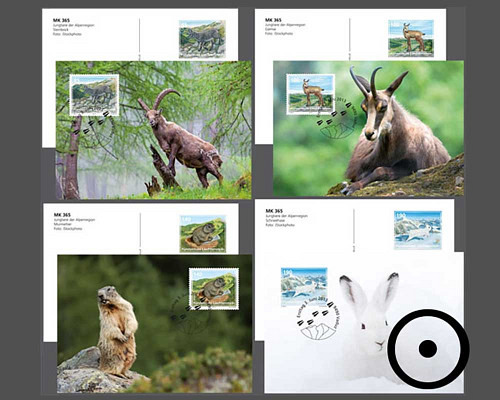 Bildpostkarte: Jungtiere der Alpenregion