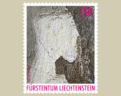 Künstlerische Fotografie: Erich Allgäuer