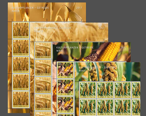 Kulturpflanzen - Getreide