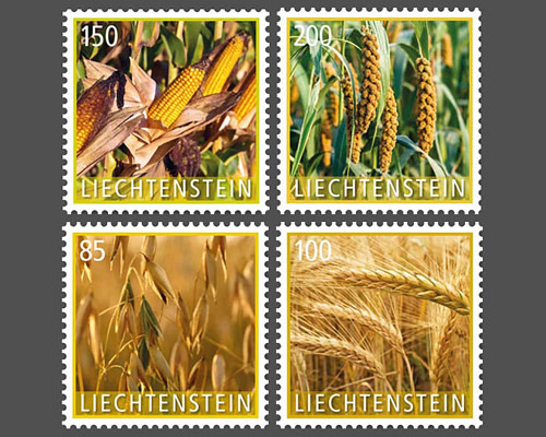 Kulturpflanzen - Getreide