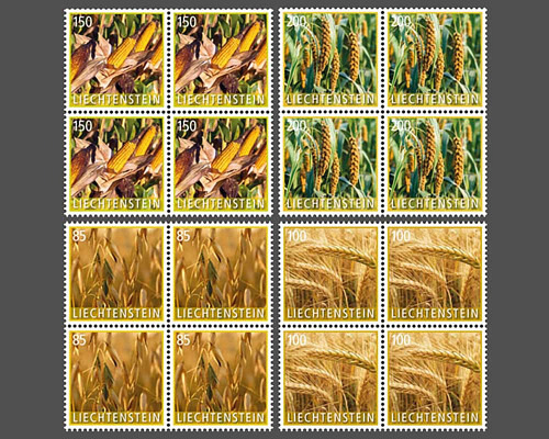 Kulturpflanzen - Getreide