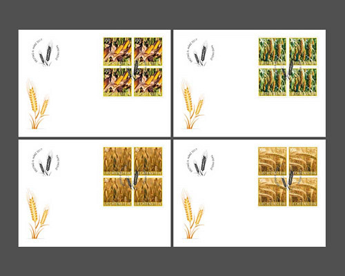 Kulturpflanzen - Getreide