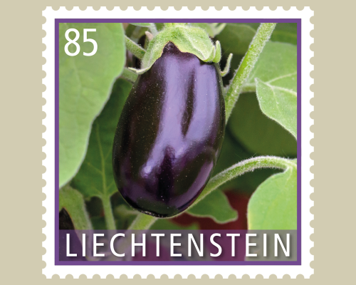 Kulturpflanzen - Gemüse