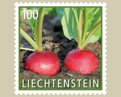 Kulturpflanzen - Gemüse