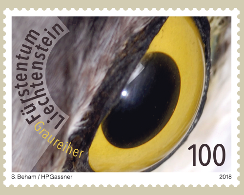 Artistic photography: Birds eyes