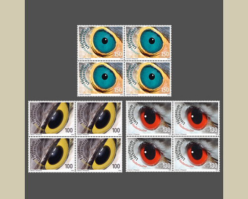 Artistic photography: Birds eyes