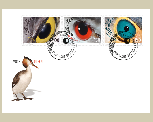 Artistic photography: Birds eyes