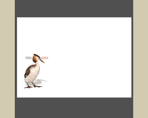 Artistic photography: Birds eyes