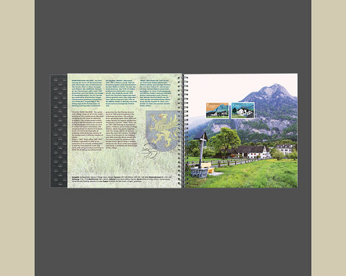 Annual album 2020 mint **