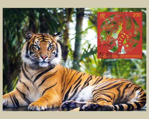Chinese Signs of the Zodiac: Tiger