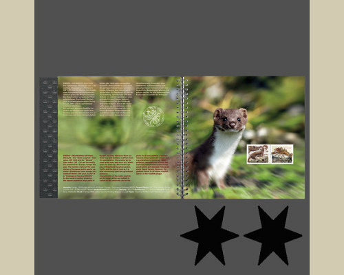 Annual album 2021 mint **