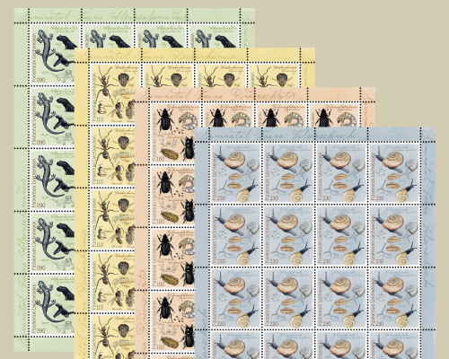 Samina Valley – Fauna