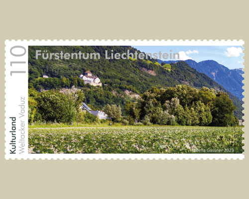 Panorama - Cultivated Land