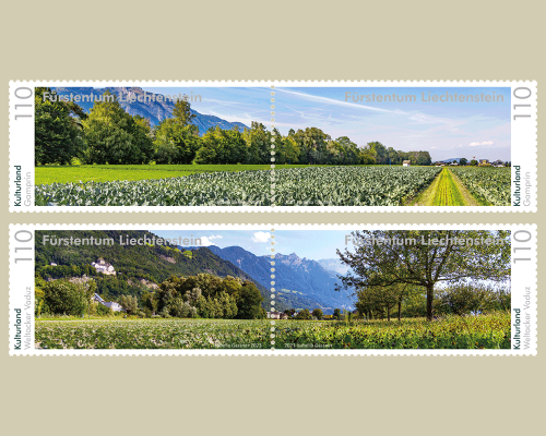 Panorama - Cultivated Land