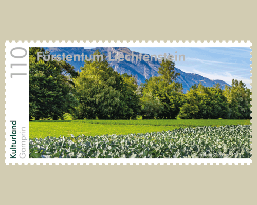 Panorama - Cultivated Land