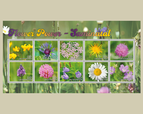 Flower Power - Samina Valley