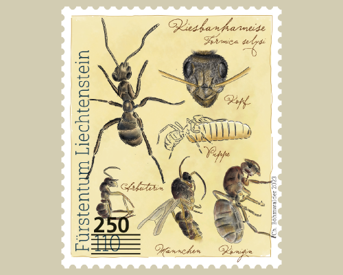 Provisional Stamps