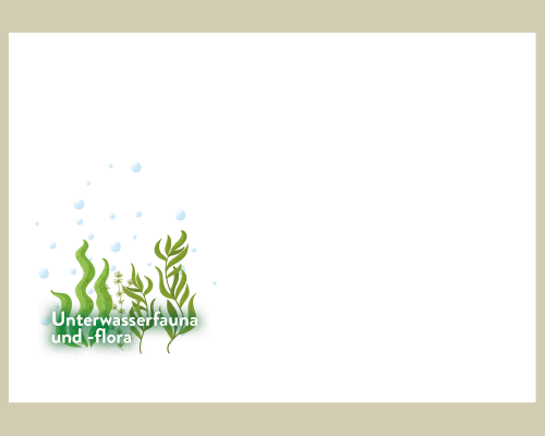 EUROPA - Underwater Fauna & Flora