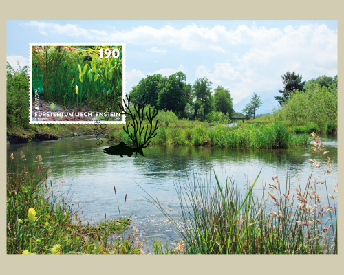 EUROPA - Underwater Fauna & Flora