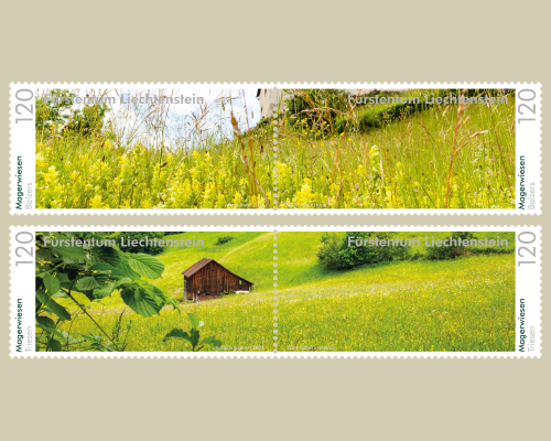 Panorama - Natural Meadows