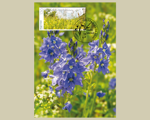 Panorama - Natural Meadows