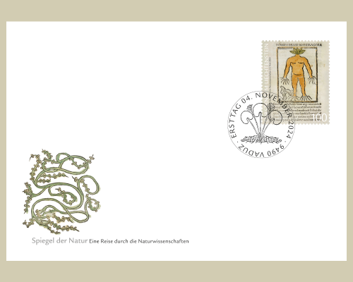 Reflets de la nature