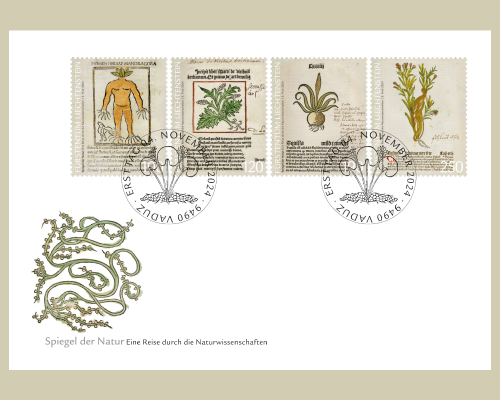 Reflets de la nature