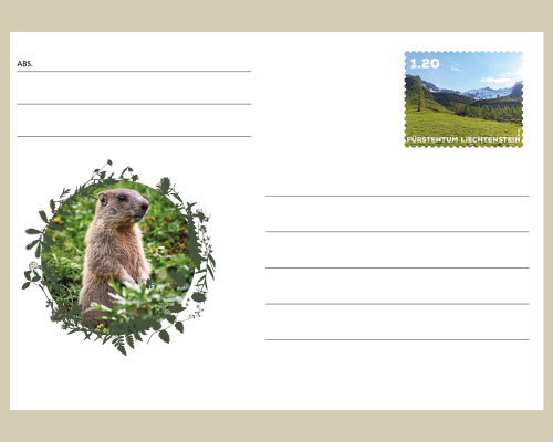 Postal stationery: Wild Animals in Liec.