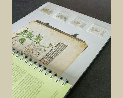 Annual album 2024 cancelled o