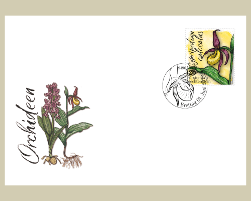 Orchidées