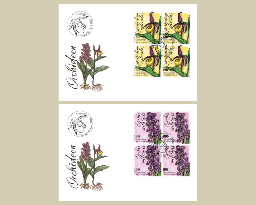 Orchideen