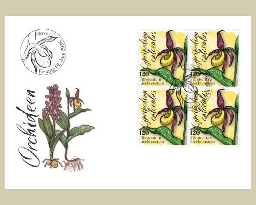 Orchidées