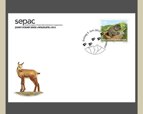 Special Cover - SEPAC edition 2013