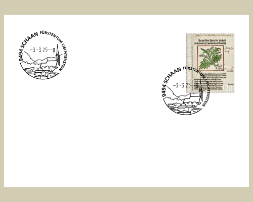 Special Cover Ersatz Ortswerbestempel